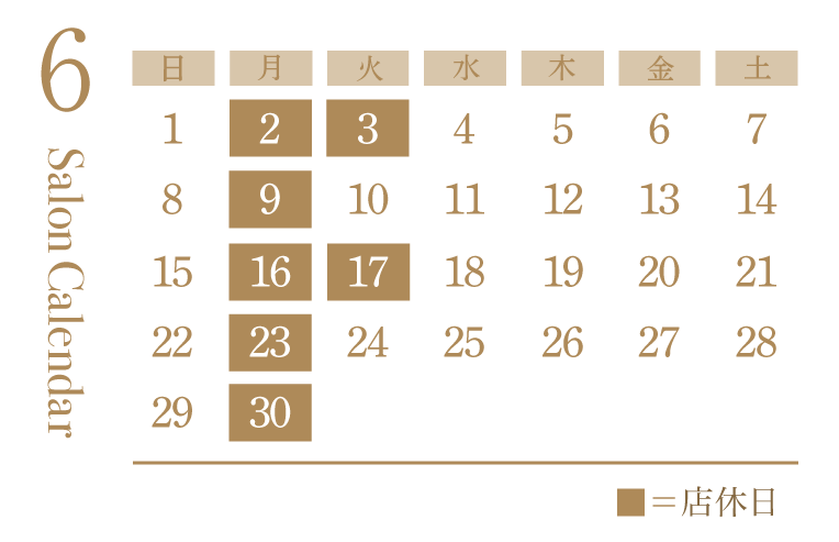 美容室シエラグラムの6月の営業日カレンダー