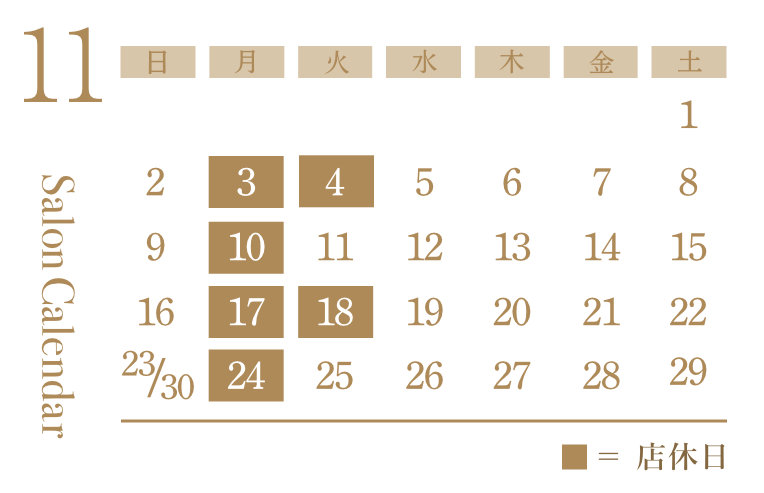 美容室シエラグラムの11月の営業日カレンダー